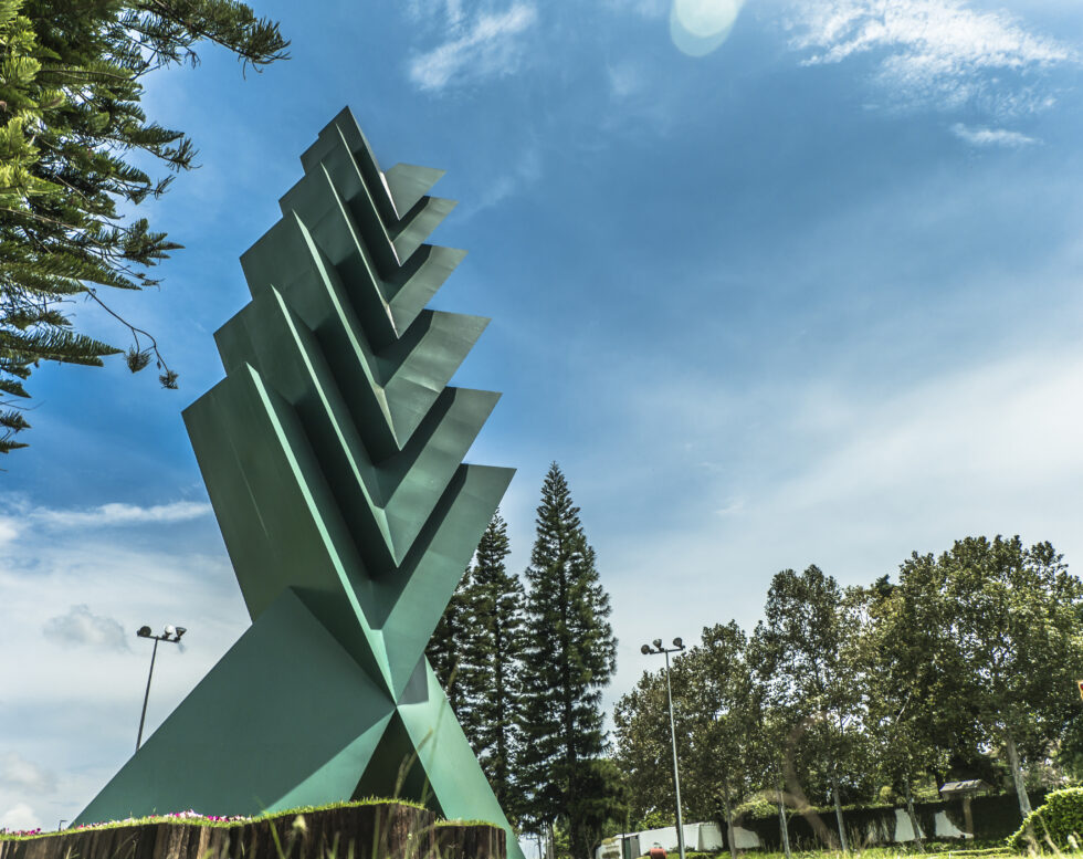 La-araucaria-xalapa-foto-elsamurai
